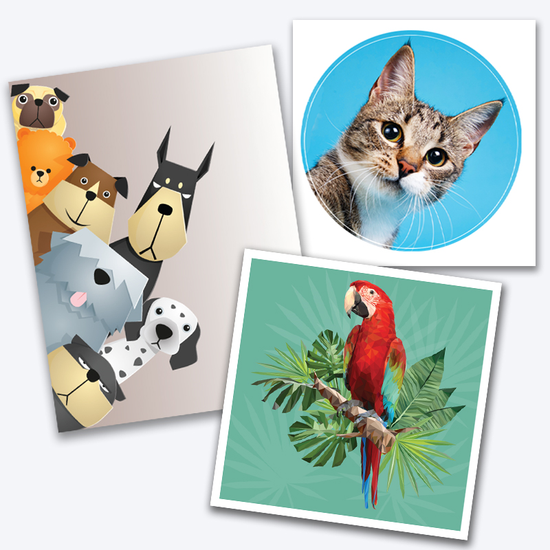 Paper Stickers - Reno Print Store